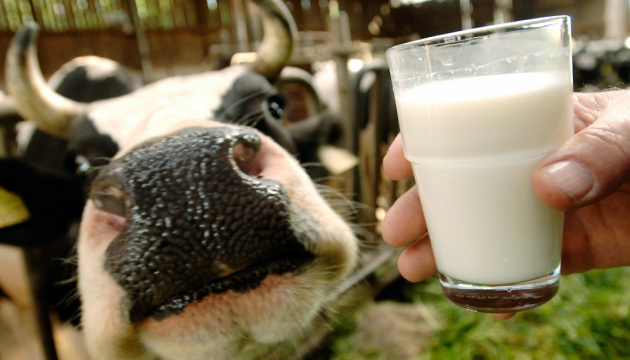 Dairy processors’ losses in 2024 may reach UAH 1B – experts