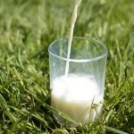 Dairy productivity growth is a glass half full