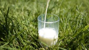 Dairy productivity growth is a glass half full