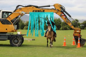 Farmgate prices rise in time for field days