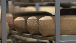 Federal grant funding for dairy businesses paused