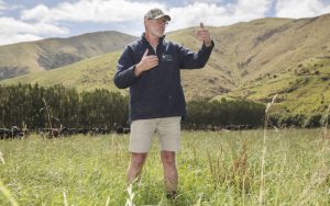 Fonterra considers organic for South Island