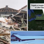 Heartbreak at Insight Dairy A Tragic Winter Barn Roof Collapse