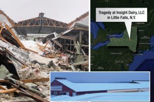 Heartbreak at Insight Dairy A Tragic Winter Barn Roof Collapse