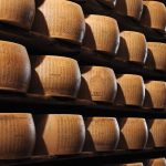 How This Organic Italian Dairy Crafts Its World-Class Parmigiano-Reggiano