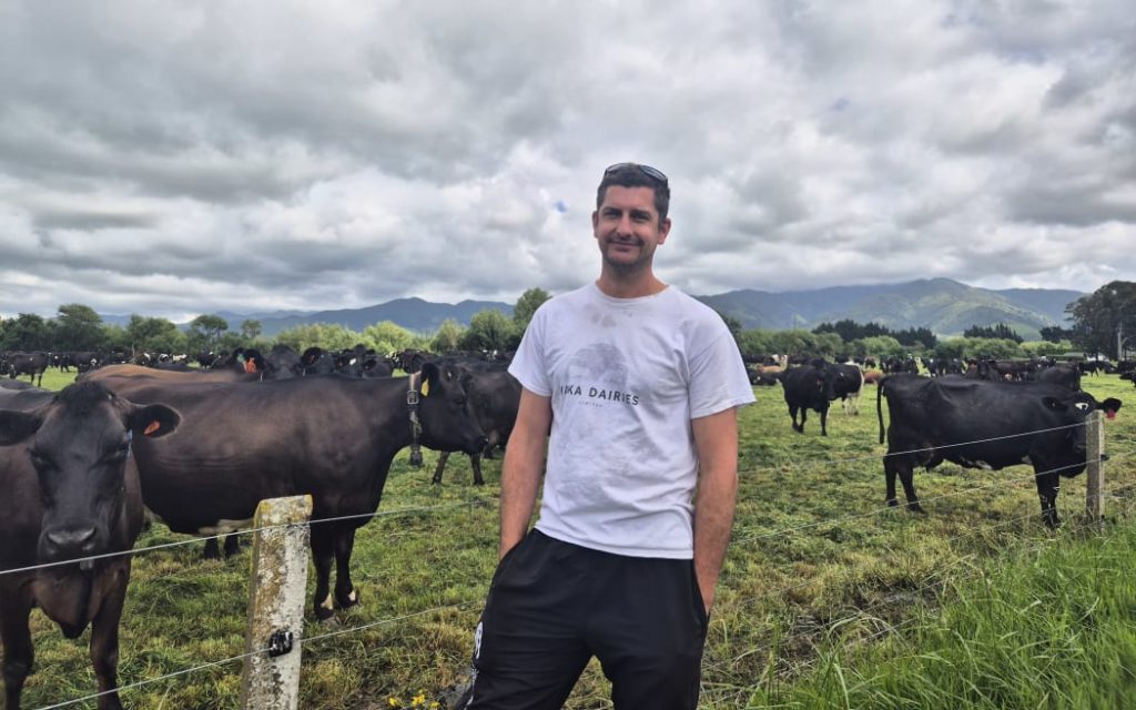 Inside a dairy farm's composting shelter