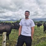 Inside a dairy farm's composting shelter