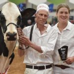 Memorable dairy week for the Templetons