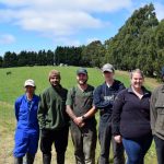 Milk production bouncing back after tough wet spring