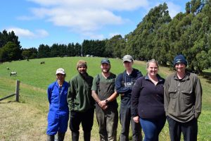 Milk production bouncing back after tough wet spring