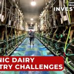 Rising costs in organic dairy production leaves shelves empty, Oregon farmers adapting