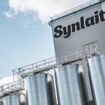 Synlait Milk announces return to profitability after cost cuts