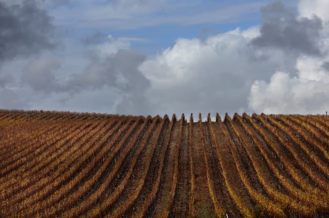 Trump wants Europe to buy more US farm goods. It can’t