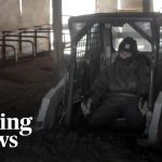 Wisconsin dairy farms face uncertainty amid immigration crackdown