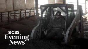 Wisconsin dairy farms face uncertainty amid immigration crackdown