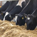 A closer look at milk prices