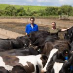 An on-farm early-warning system to help stay on track