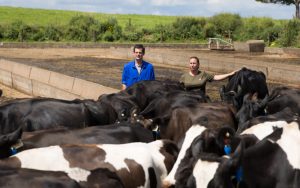 An on-farm early-warning system to help stay on track