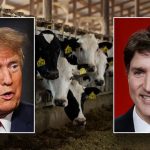 Canada exploiting 'loophole' hurting US dairy farmers amid Trump tariffs, senators say