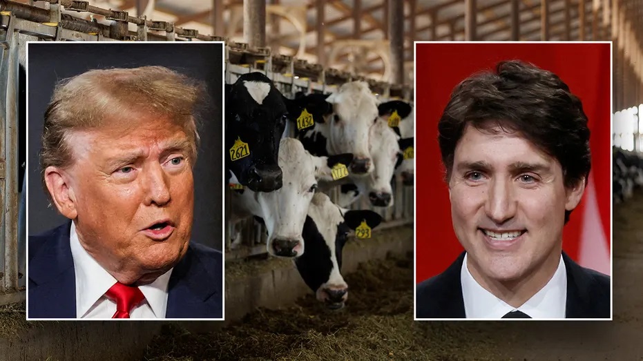 Canada exploiting 'loophole' hurting US dairy farmers amid Trump tariffs, senators say