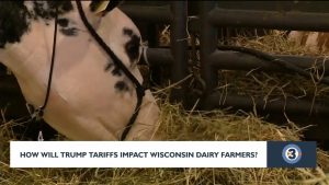 Dairy farmer, agriculture experts concerned about impact of Trump's tariffs in Wisconsin