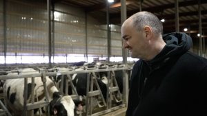 Dairy farming and tariffs Are farmers hurting due to the ongoing trade war