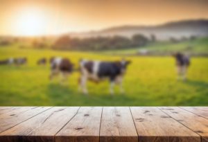 Dairy production significantly impacted by rising temperatures, say US researchers