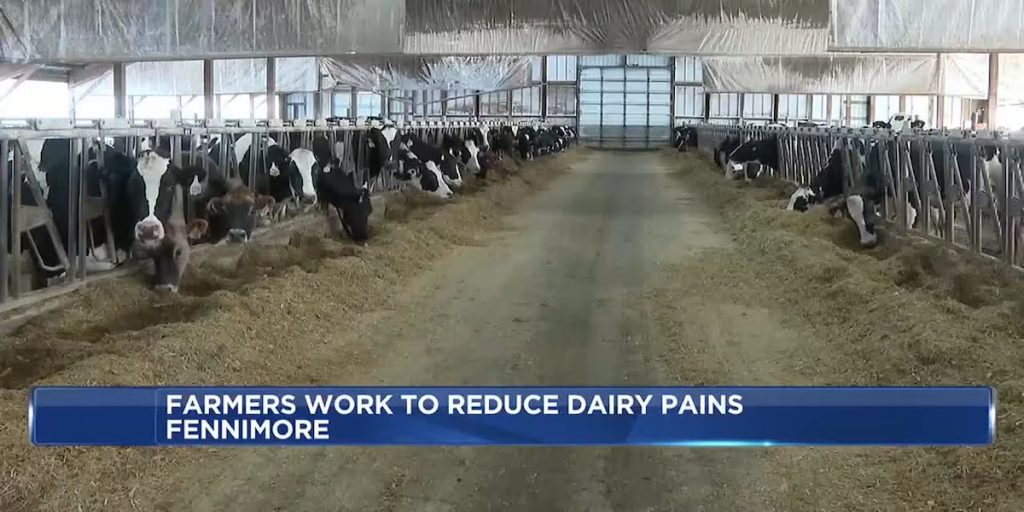 Fennimore farmers work to reduce dairy intolerance through products