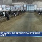 Fennimore farmers work to reduce dairy intolerance through products