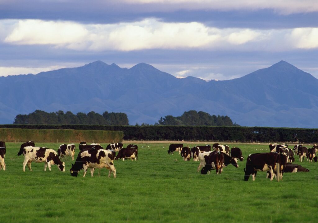 Fonterra offers $250,000 in grants for wetlands restoration