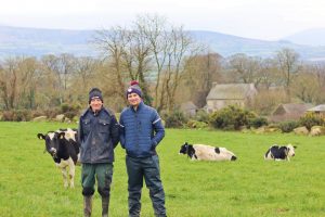 How this Carlow farmer plans to maintain his milk cheque while cutting his herd by a quarter