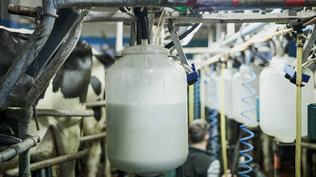 Impact of tariffs on global dairy trade currently unclear Ornua