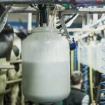 Impact of tariffs on global dairy trade currently unclear Ornua