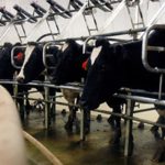 Jamie McKay India won't be interested in a free trade deal for milk