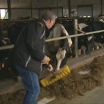 Protecting Canadas dairy industry