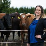 Rabobank forecasts $10 milk price for 2024-2025 season