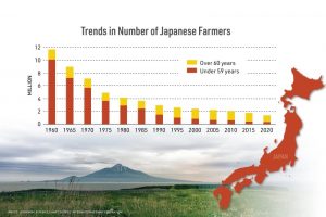 Reviving Dairy Farming in Japan Opportunities, Challenges, and Future Prospects