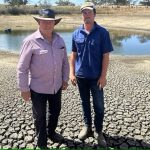 SA farmers calls for more support during drought conditions