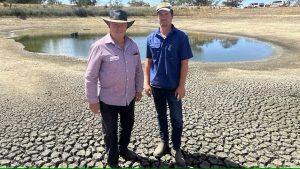 SA farmers calls for more support during drought conditions