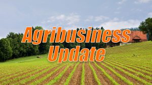 California Farmland Values Drop and Off-Farm Income Keeps Farms Running