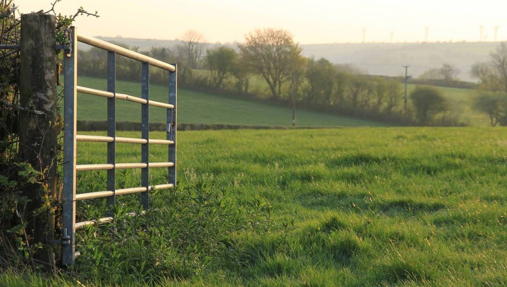 Farmland prices to rise 6% on the back of better milk prices and strong competition