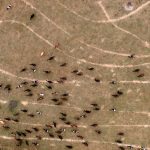 Farm Drought - Opunake