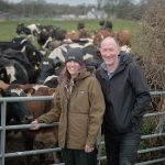 AHDB welcomes two new Welsh farms to Strategic Dairy Farm programme