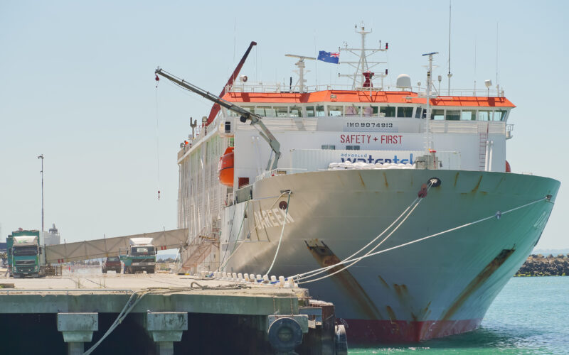 Aussie election result set to sink live exports