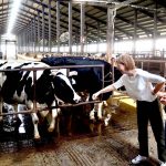 Bombay Dairy gets license to expand operations, as Goodhue County board holds meeting in Kenyon class