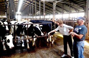 Bombay Dairy gets license to expand operations, as Goodhue County board holds meeting in Kenyon class