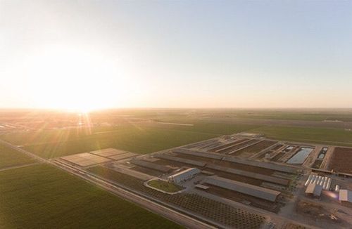 California dairy farms achieve major methane reduction milestone