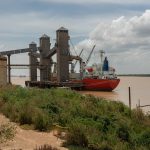 China inks $900 million deal for Argentine crops, sidestepping U.S. amid trade tensions