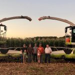 Cut, cure, succeed Michigan dairy masters formula for elite feed