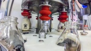 Dairy Defined Milk is Defined by Safety